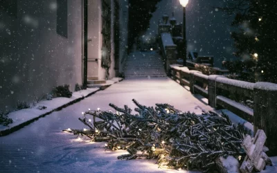 Un regalo para Herodes. Cuento de Navidad