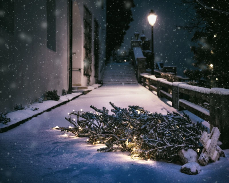 Un regalo para Herodes cuento de navidad