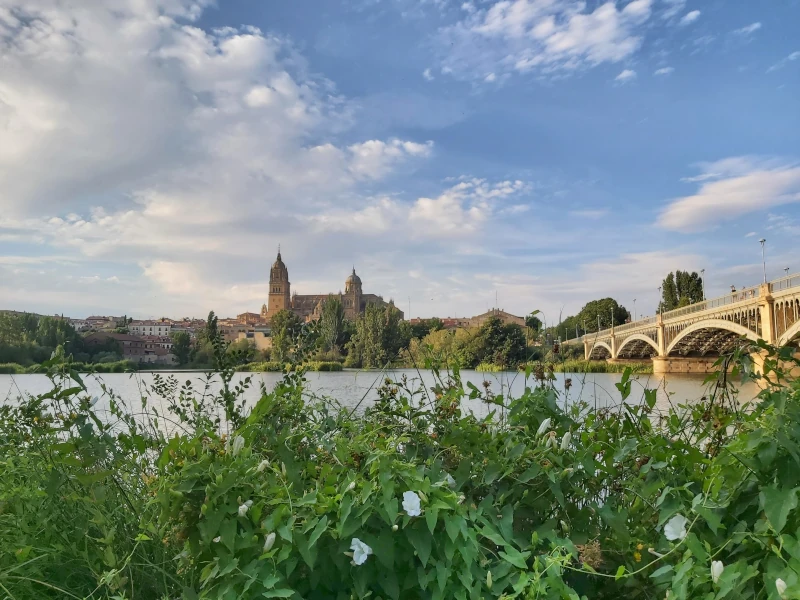 Catedral de Salamanca, vista desde el río Tormes