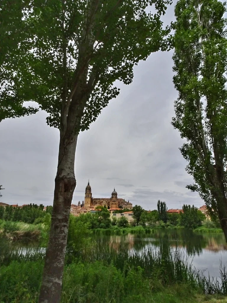 Catedral de Salamanca desde la orilla del río Tormes