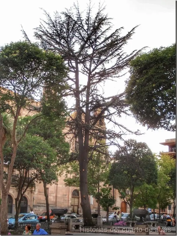 Plaza de los Bandos en Salamanca