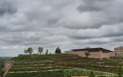 El cerro de san Vicente