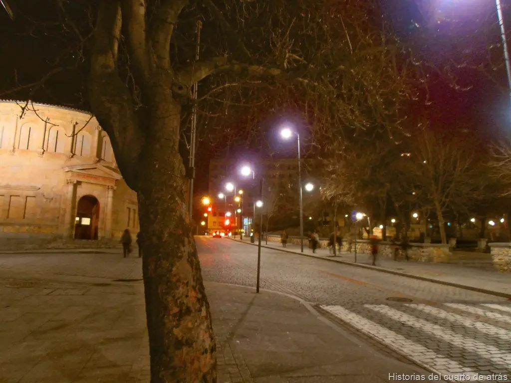 Calle Ramón y Cajal palacio de Fonseca Salamanca